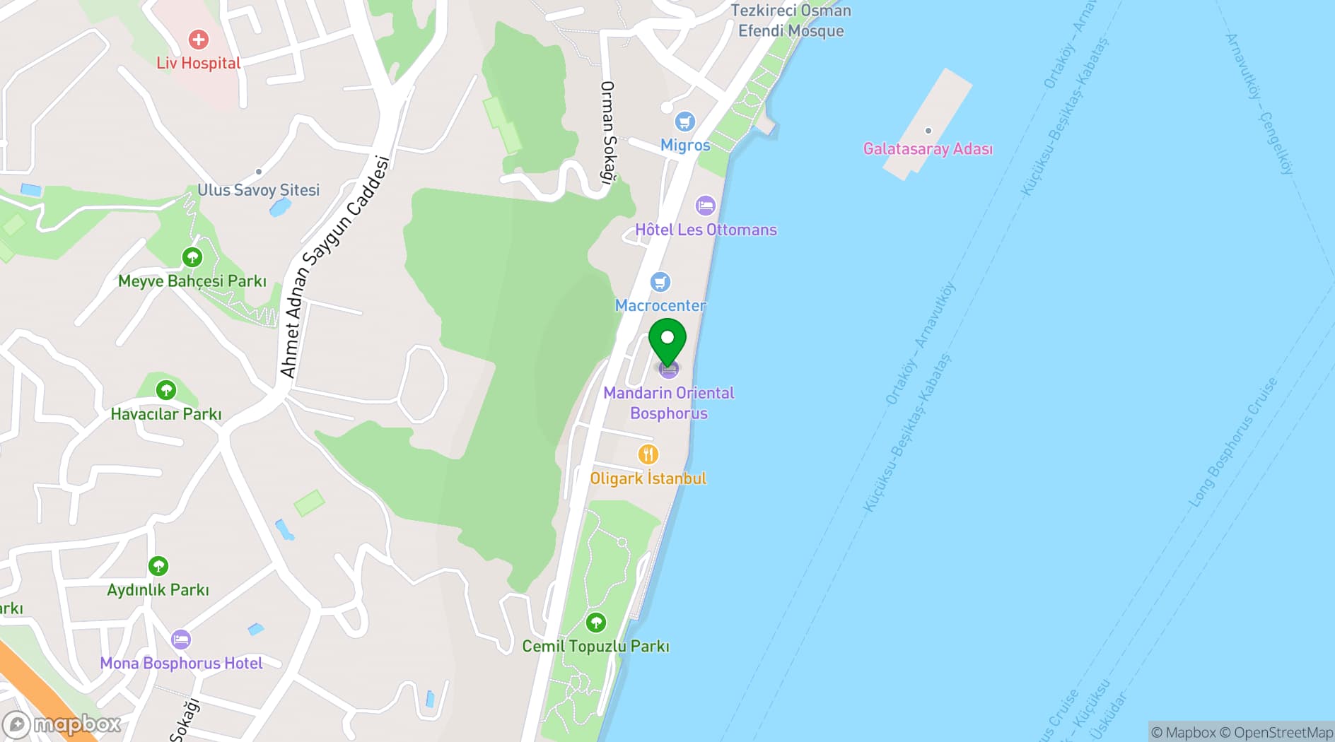 Map showing Olea Bosphorus