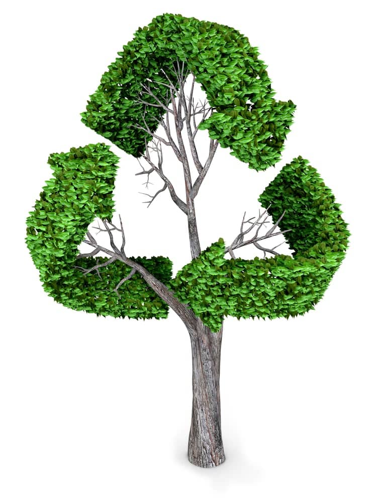 recyclestock