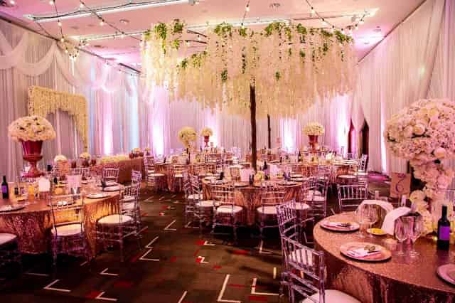 Grace Suite