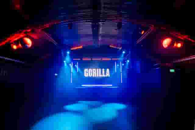Gorilla