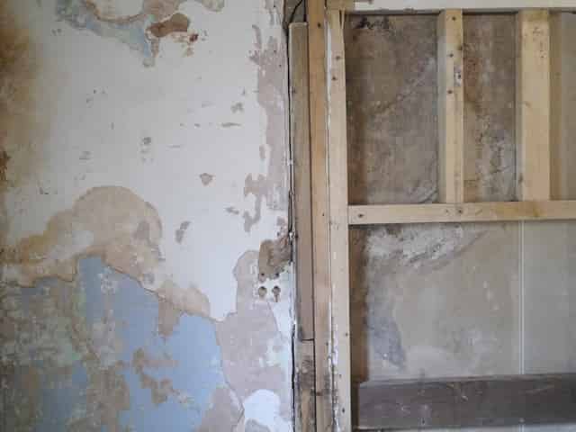 Safehouse 1