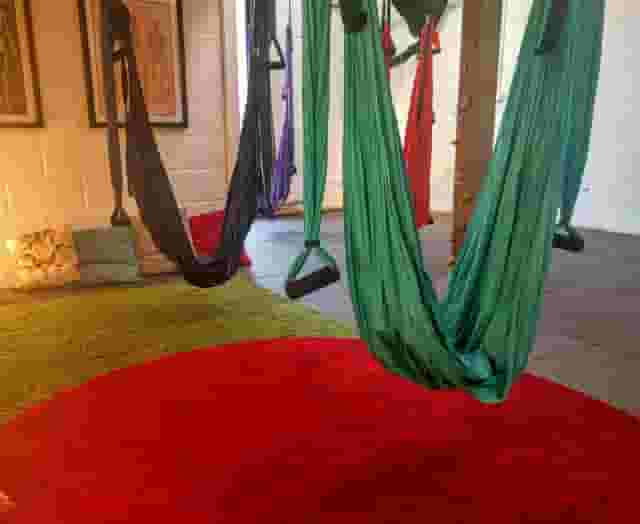 Anatomie Studio