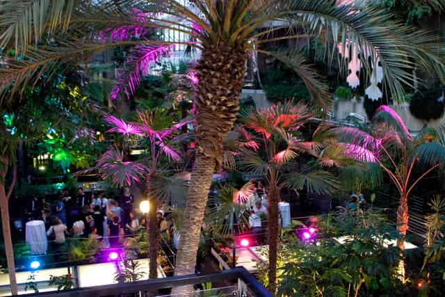 The Conservatory