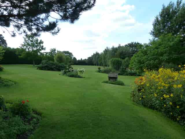 Elysion Cinemas garden with lush greenery, perfect for weddings and corporate events.