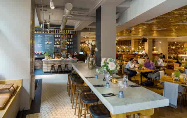 The Anthologist - image 2