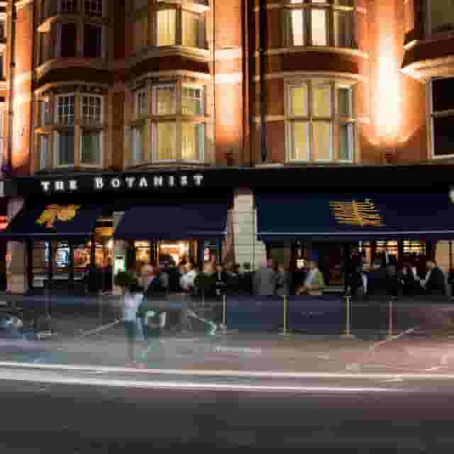 Whole Bar & Dining Room
