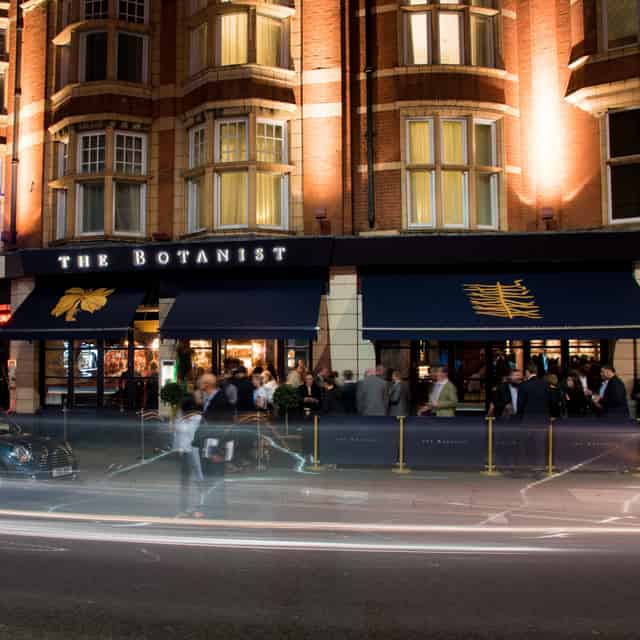 Whole Bar & Dining Room