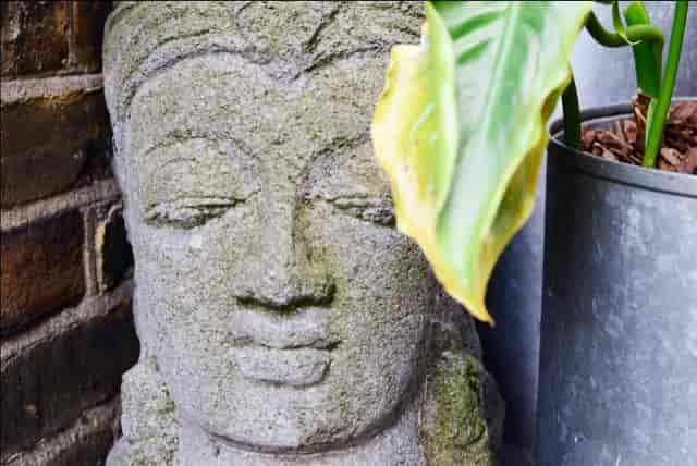 Serene Buddha head in lush greenery, ideal for wellness retreats and mindfulness workshops.
