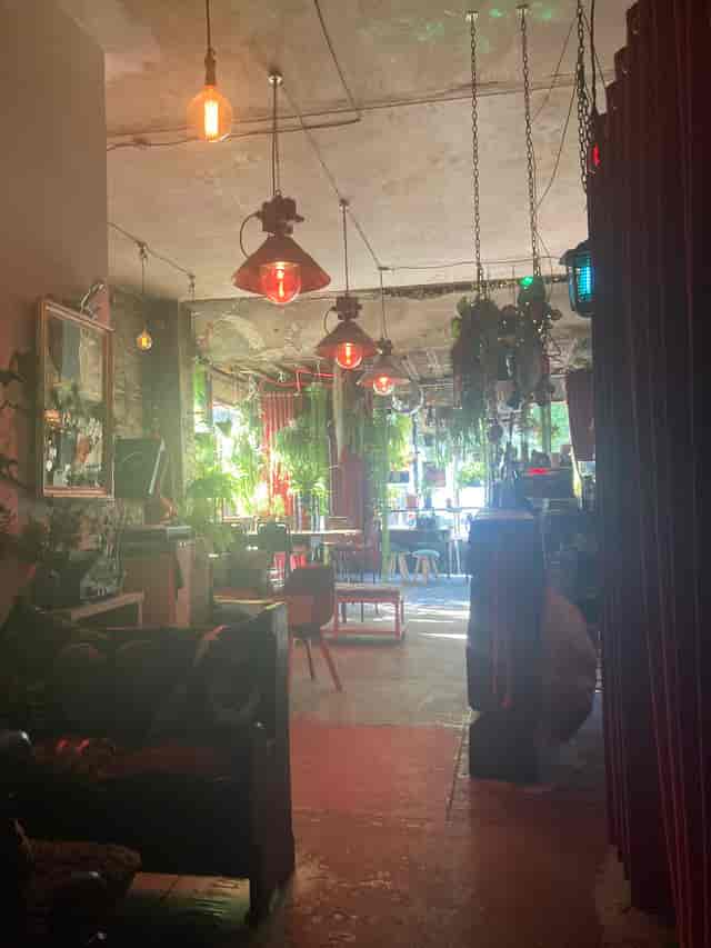 Vibrant venue with greenery and cozy seating for creative events and meetings.