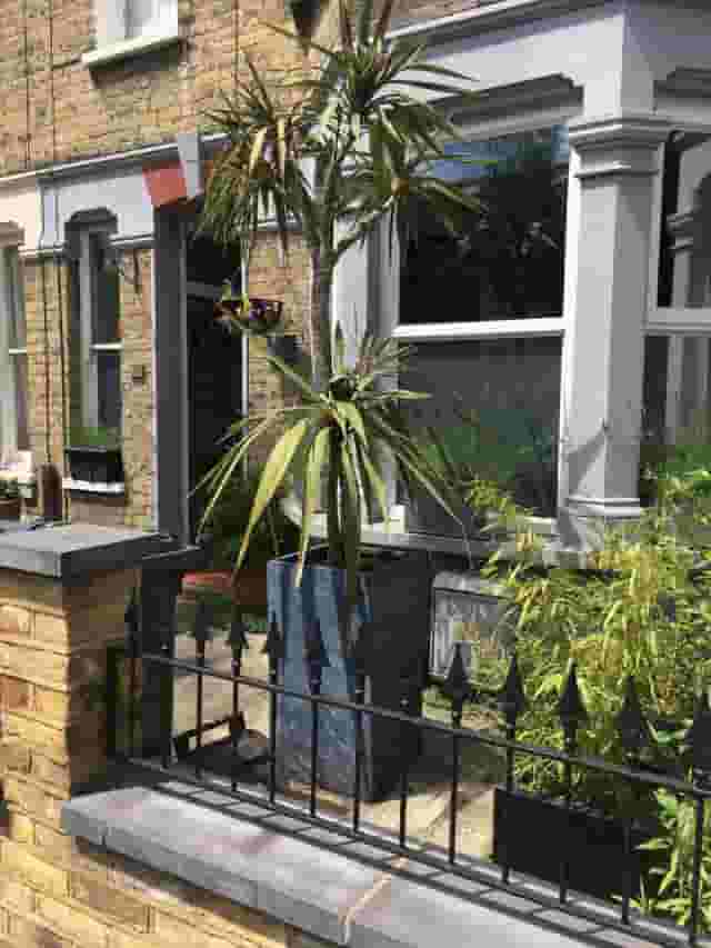Front garden