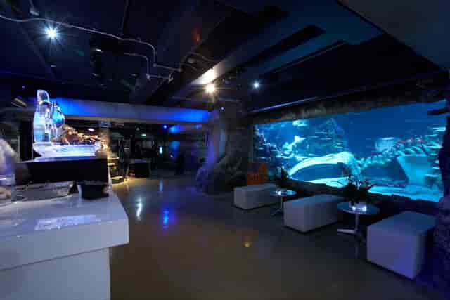 Underwater venue at SEA LIFE London Aquarium for unique events and cocktail receptions.