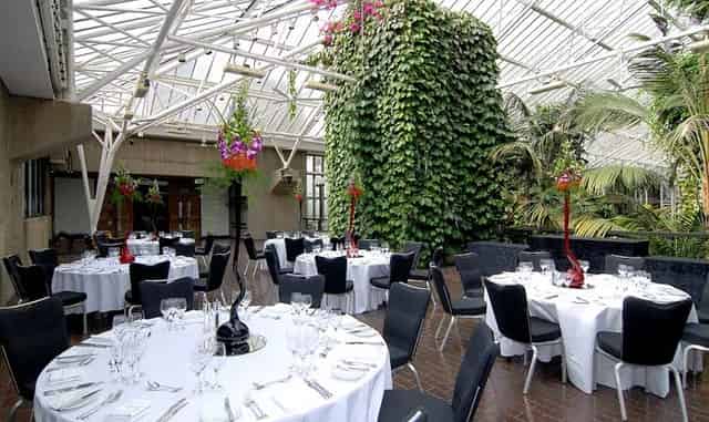 Wedding Reception