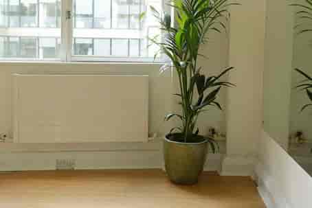 Bright minimalist rehearsal space with natural light, ideal for meetings and workshops.