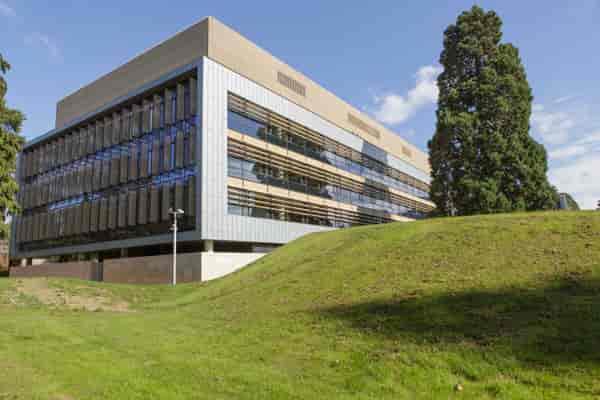 Modern auditorium with large windows, perfect for events in a lush green setting.