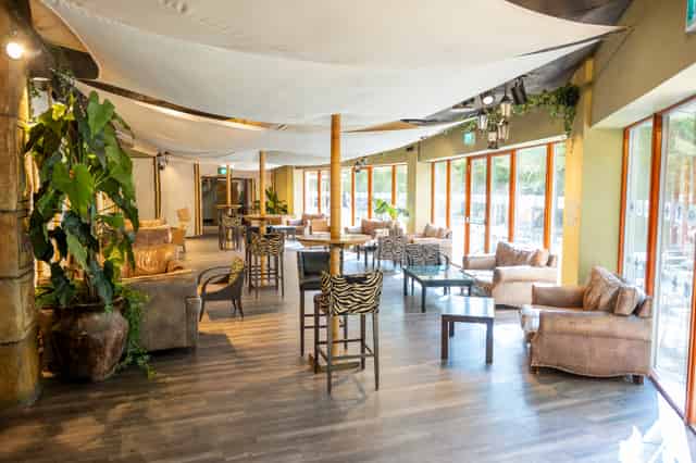 Serengeti Suite