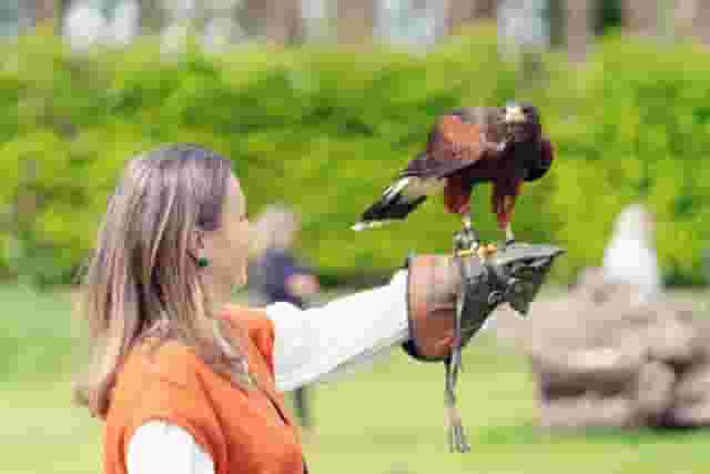 Leeds Castle