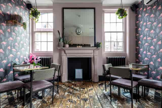 Stylish event space with flamingo wallpaper, ideal for networking and gatherings.