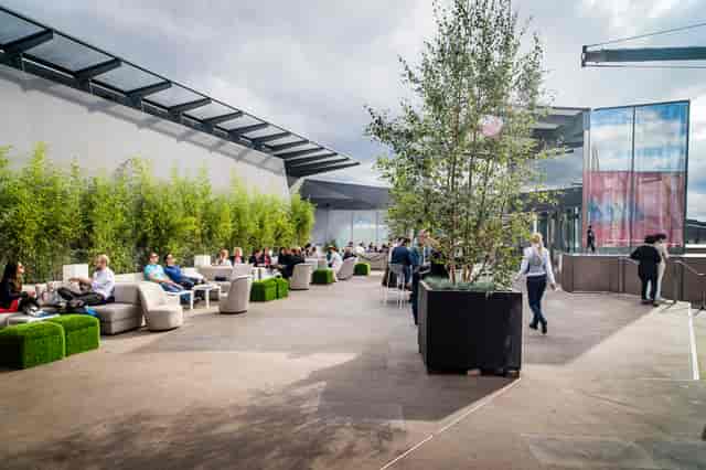 Stylish rooftop event space in Madison with greenery, ideal for networking and gatherings.