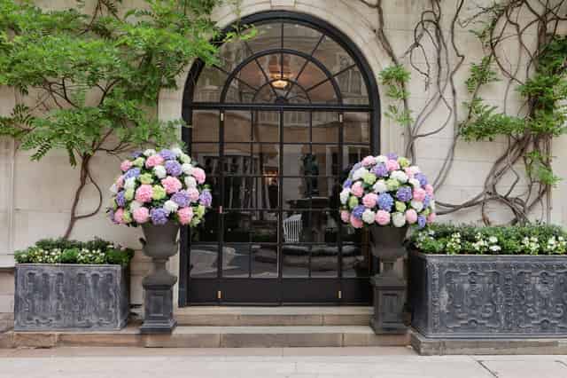 Courtyard Garden