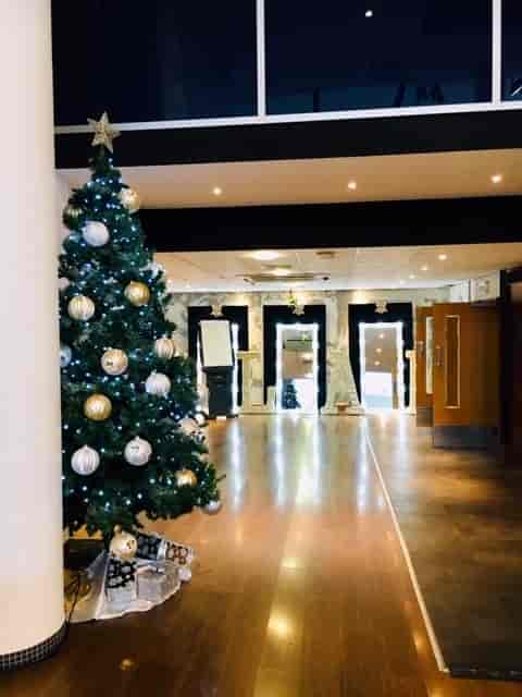 Princess Suite entrance with Christmas tree, perfect for corporate holiday events.