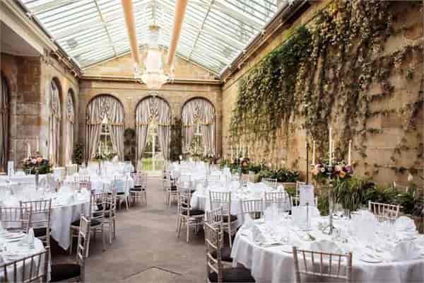 Victorian Orangery at Weston Park, elegant wedding venue with lush greenery and natural light.