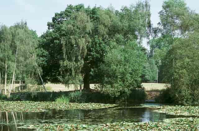 Stoke Place