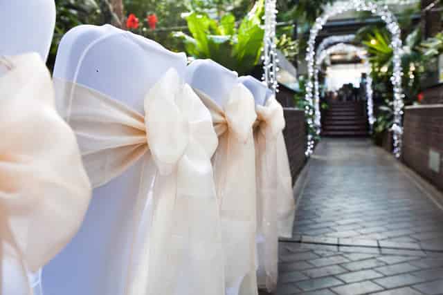 Wedding Reception