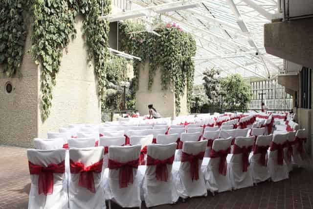 Large Wedding