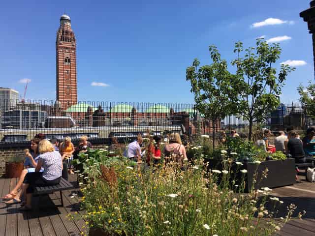 Roof Top Garden 