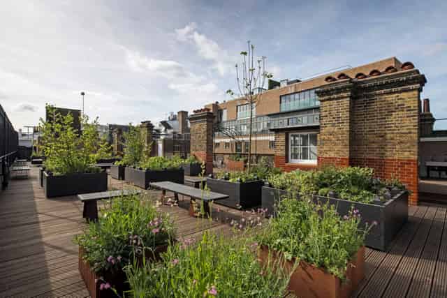 Roof Top Garden 