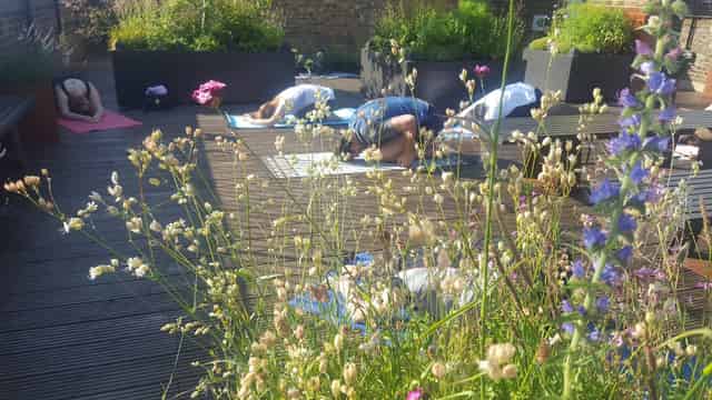 Roof Top Garden 