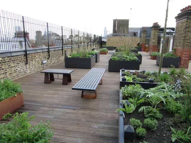 Roof Top Garden 