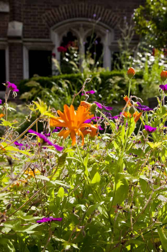 Cloister Garden