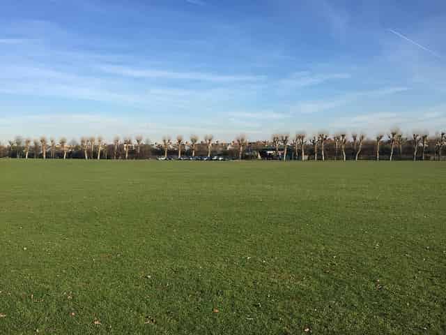 Main Field