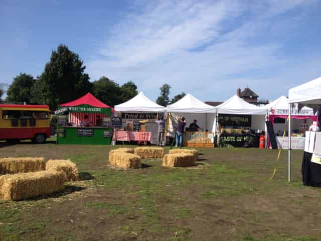 Main Field