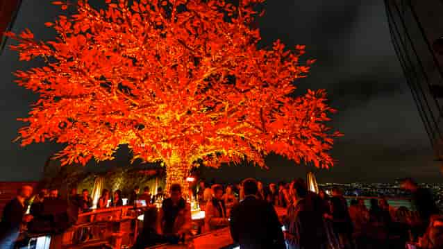 "Vibrant Tree Terrace at SUSHI SAMBA, ideal for networking and celebratory events."