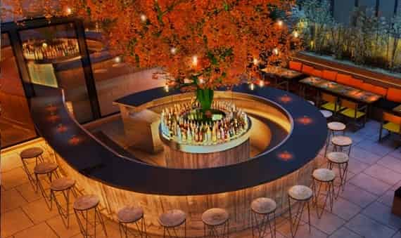 Tree Terrace