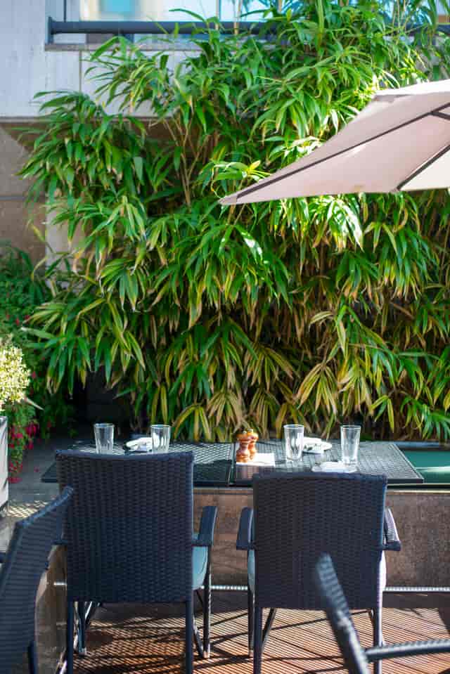 Terrace at Northbank Restaurant with lush greenery, ideal for casual meetings or events.