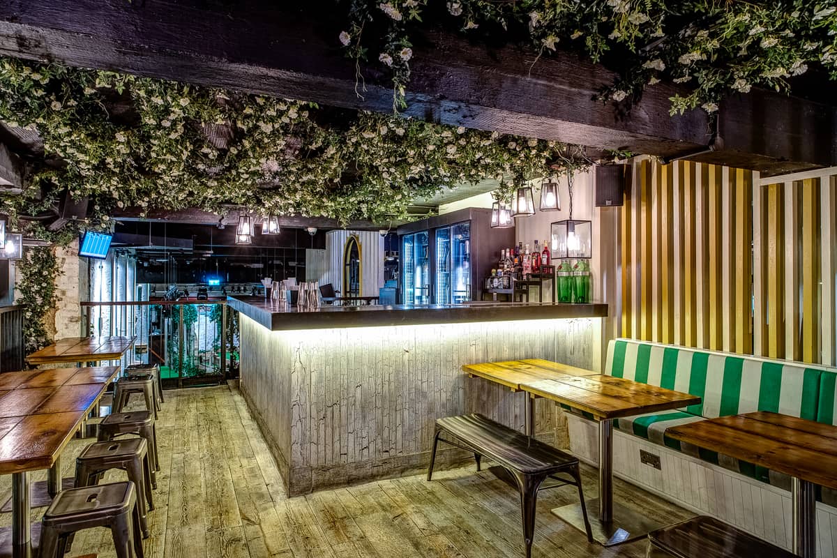 Flower Power at the Gin Trace