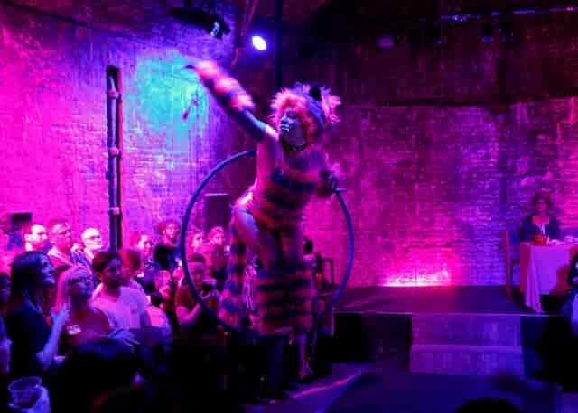 Vibrant performance space with dynamic hoop dancer for themed parties and corporate events.