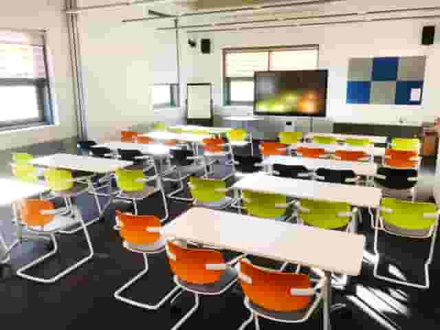 Vygotsky Suite