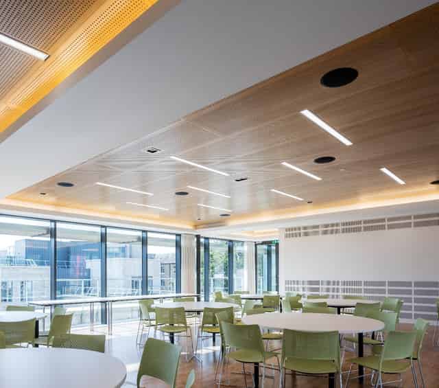 Lime Tree Suite