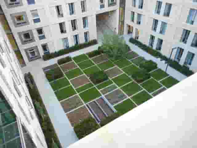 Lime Tree Suite