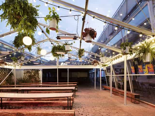 Palm House