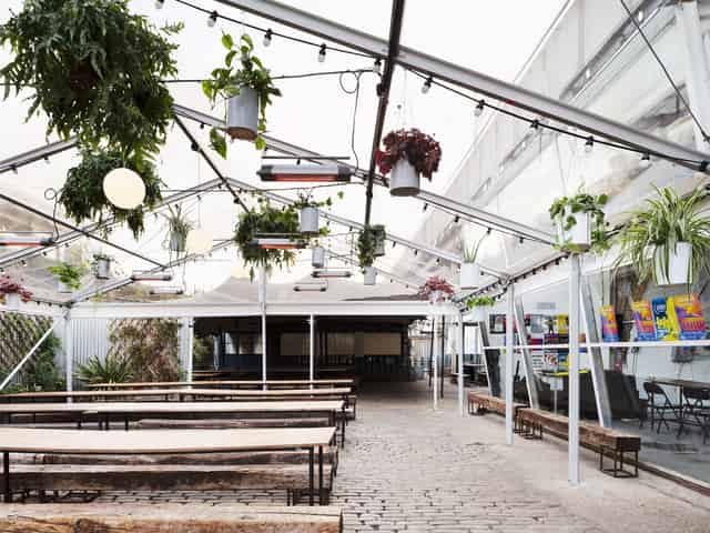 Palm House