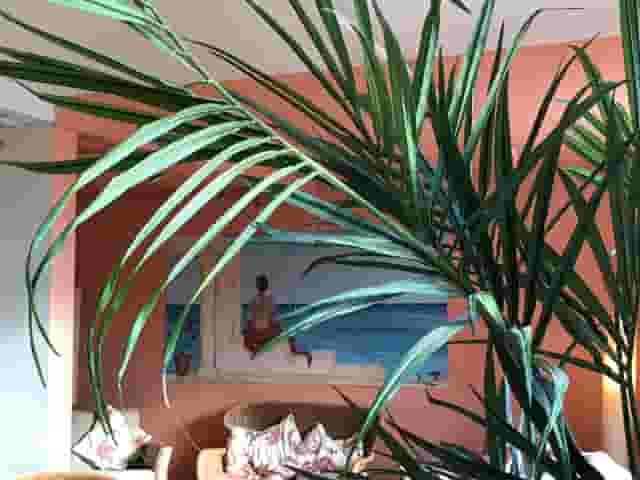 The Art Studio