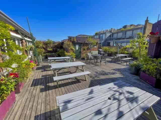 Roof Garden - image 3