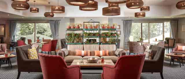 Stylish lounge at The Cabin in The Fish Hotel, ideal for networking events and meetings.