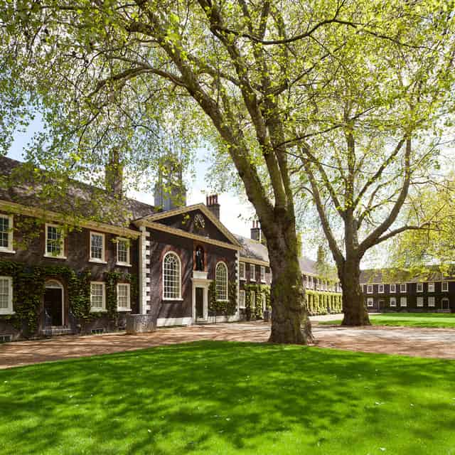 The Lawns