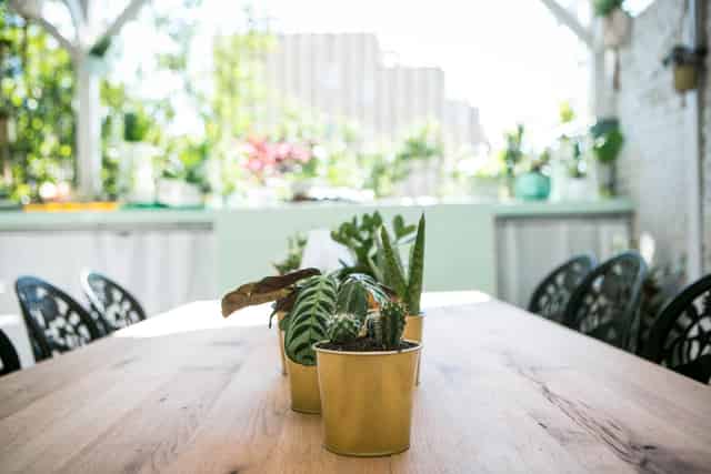 Al Fresco BBQ Garden